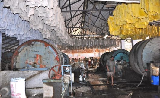 Entreprises de tannage en Inde