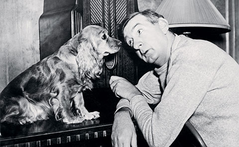 Contrairement à la radio traditionnelle, la radio numérique vit sous le signe de la valse des normes et de l'obsolescence rapide.