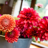 Photos: Jean-Luc Barmaverain