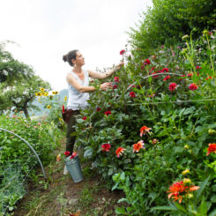 Photos: Jean-Luc Barmaverain