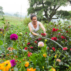 Photos: Jean-Luc Barmaverain
