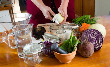 La lactofermentation, pour ravigoter papilles et organisme La lactofermentation, pour ravigoter papilles et organisme